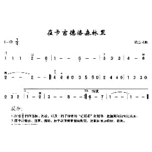 二胡谱 | 在卡吉德洛森林里