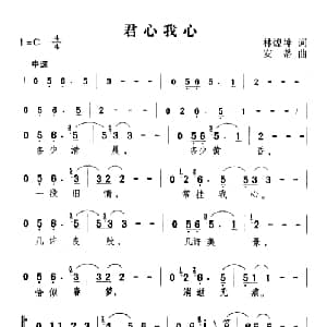 君心我心_通俗唱法乐谱_词曲:林煌坤 安蒂