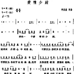 爱情少尉_通俗唱法乐谱_词曲:李宗盛 李宗盛