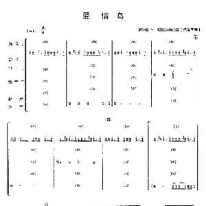 爱情鸟_歌曲简谱