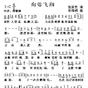 向你飞翔_通俗唱法乐谱_词曲:张亚君 华维明