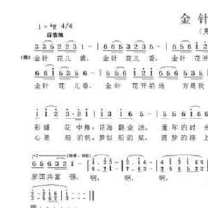 金针花儿香_民歌简谱_词曲:贺长山 鋆泽灿