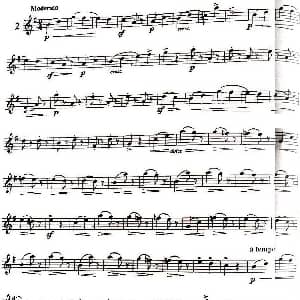 长笛曲谱 | 三十首小练习曲作品120号 NO.2 Garibold 加里波第