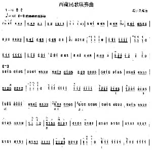 柳琴考级曲目三级 西藏民歌联奏曲 冯少先