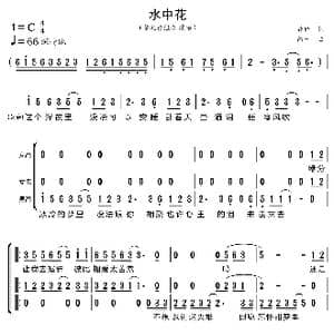 水中花_歌曲简谱_词曲:娃娃 简宁