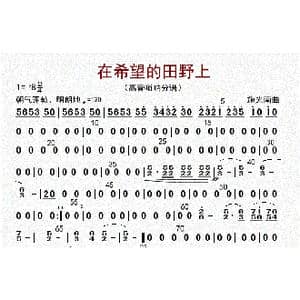 在希望的田野上_歌曲简谱_词曲: 李国林配器