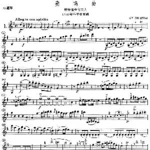 小提琴谱 | 奏鸣曲 献给选帝侯夫人