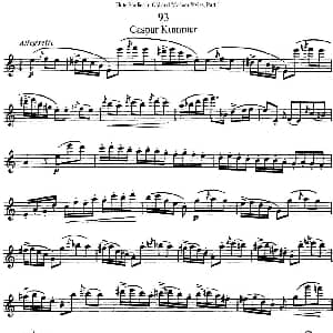 长笛曲谱 | 斯勒新老风格长笛练习重奏曲 第一部分 NO.93 NO.94 Siegfried Thiele S. 斯勒