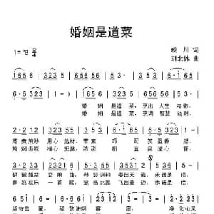 婚姻是道菜_通俗唱法乐谱_词曲:琰川 刘北休