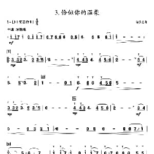 葫芦丝谱 | 葫芦丝教学曲集 恰似你的温柔 梁弘志曲 周成龙编曲