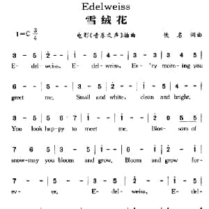 Edelweiss 美国 _外国歌谱