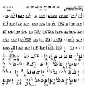 赵氏孤儿 老程婴提笔泪难忍_歌曲简谱_词曲:暂无 恒流星制谱