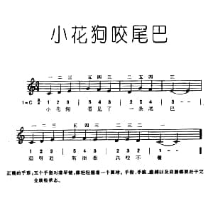 电子琴谱 | 小花狗咬尾巴 安智盛 编曲