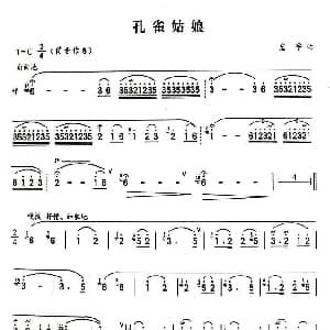 葫芦丝谱 | 孔雀姑娘 岩宰