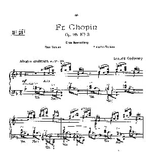 53首以肖邦练习曲为素材而作的练习曲 钢琴谱 里奥鲍尔德 戈多夫斯基