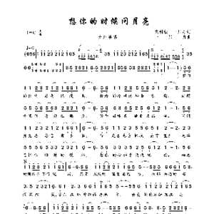 想你的时候问月亮_歌曲简谱_词曲:党明毅 一只舟 一只舟