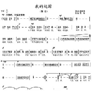 我的翅膀_儿歌乐谱_词曲:胡敦骅 雪军