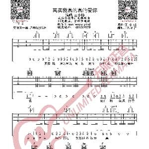 其实我真的真的爱你 吉他谱_歌曲简谱