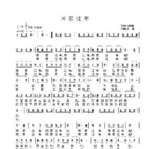 回家过年_民歌简谱_词曲:庞晓静 子健
