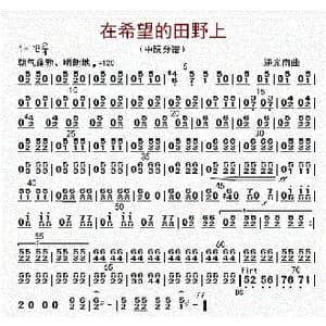 在希望的田野上_歌曲简谱_词曲: 李国林配器