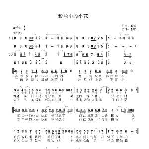 粉尘中的小花_歌曲简谱_词曲:李锋 李锋