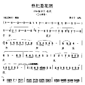 潮剧 曾把菱花照 扫窗会 选段 王金真唱 黄玉斗