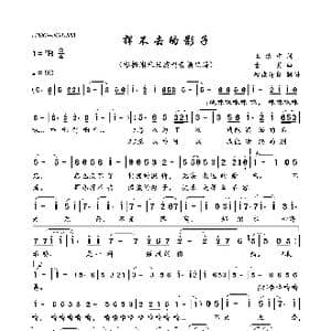 挥不去的影子_歌曲简谱_词曲:王治中 古月