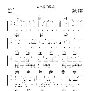 忘不掉的思念 吉他谱 李德红 李德红 李德红