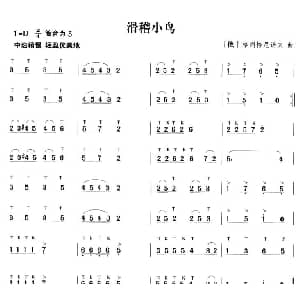 笛子谱 | 滑稽小鸟
