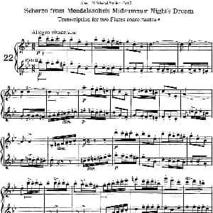 长笛曲谱 | 阿尔泰斯26首精选长笛练习曲 NO.22 Altes 阿尔泰斯