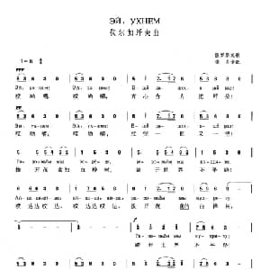 伏尔加纤夫曲 俄罗斯 _外国歌谱_词曲: 俄罗斯民歌