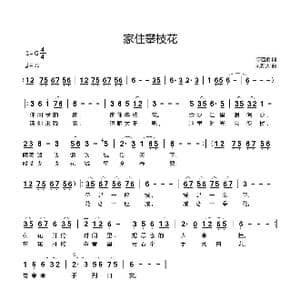 家住攀枝花_歌曲简谱_词曲:陈道斌 刘新太