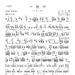 一枝花_歌曲简谱
