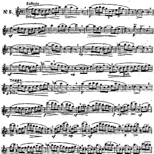 长笛曲谱 | 二十首练习曲作品131号 NO.5 Garibold 加里波第