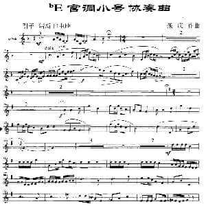 降E宫调小号协奏曲 张庆
