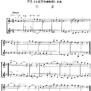 小提琴谱 | 霍曼 小提琴基础教程 选曲 狂喜 二重奏