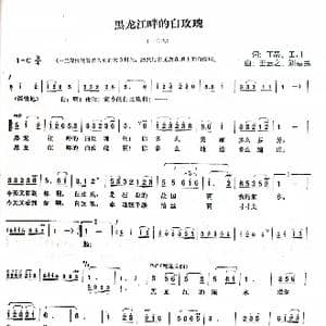 黑龙江畔的白玫瑰_歌谱投稿_词曲:丁毅 田川 王云之 刘易民