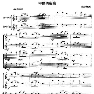 宁静的夜晚 管乐重奏