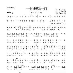 一生只爱这一回_歌曲简谱_词曲:宋沛江 王帅