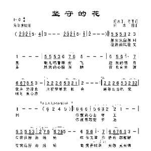 坚守的花_歌曲简谱_词曲:何沐阳 蒋平 何沐阳