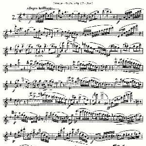 长笛曲谱 | Six Duets, Op.137 之二 二重奏 六首作品 137号 Furstenau 福斯特劳