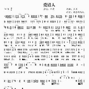 爱错人_歌曲简谱_词曲:王来 王来