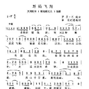 野鹅飞翔 英国 _外国歌谱_词曲: 薛范 译配