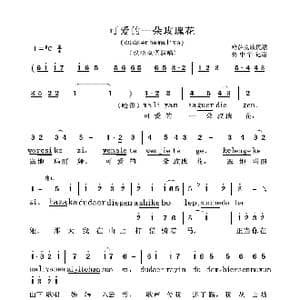 可爱的一朵玫瑰花_歌曲简谱
