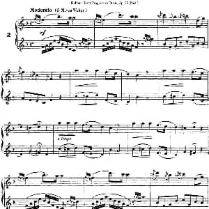 长笛曲谱 | 柯勒40首长笛提高练习曲OP.55 二重奏 NO.2 Kohler 柯勒