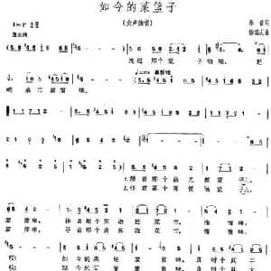 如今的菜篮子_民歌简谱_词曲:乐音 杨瑞庆