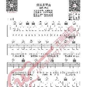 你从未离去 吉他谱_歌曲简谱