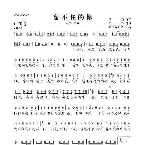 留不住的你_歌曲简谱_词曲:高羽 陈伟