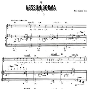 今夜无人入眠 意大利 _外国歌谱