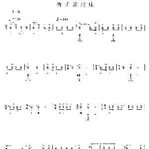 琵琶谱 | 狮子滚绣球